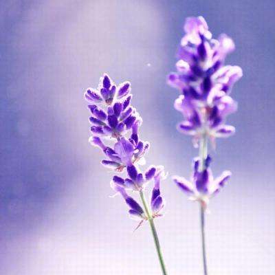 半岛网页版中国官方网站登录