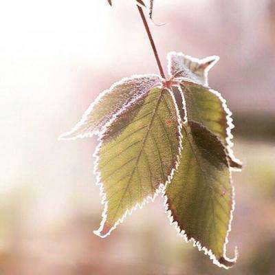 万博max体育官网